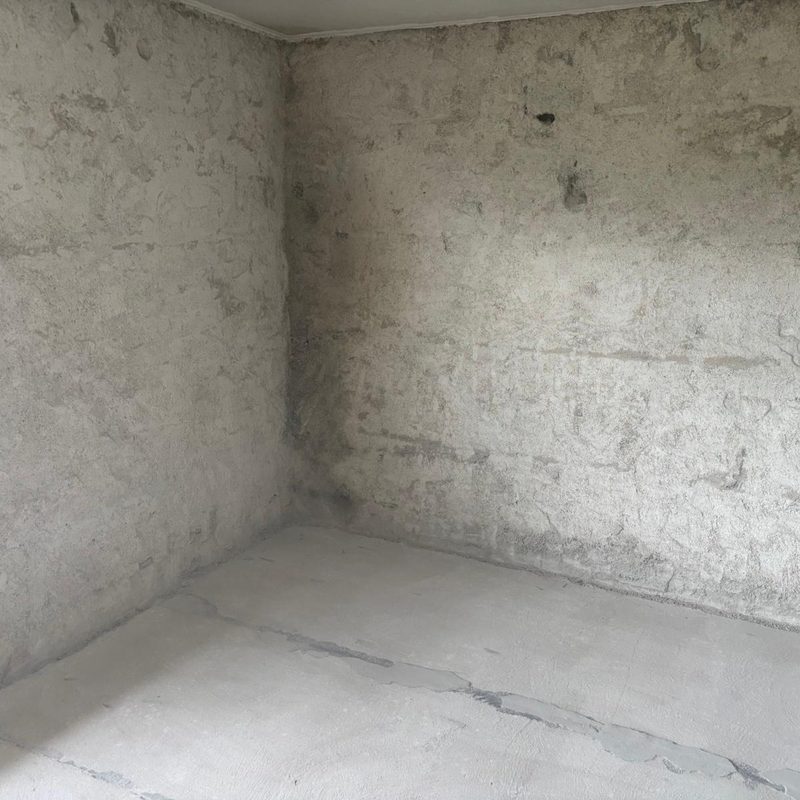 Verputzte Wand im intakten Rohzustand vor dem Rückbau